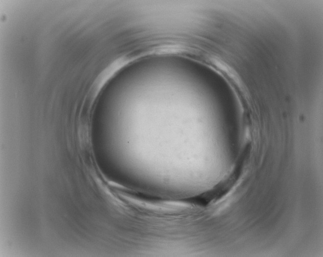 X0000065241473200602242012