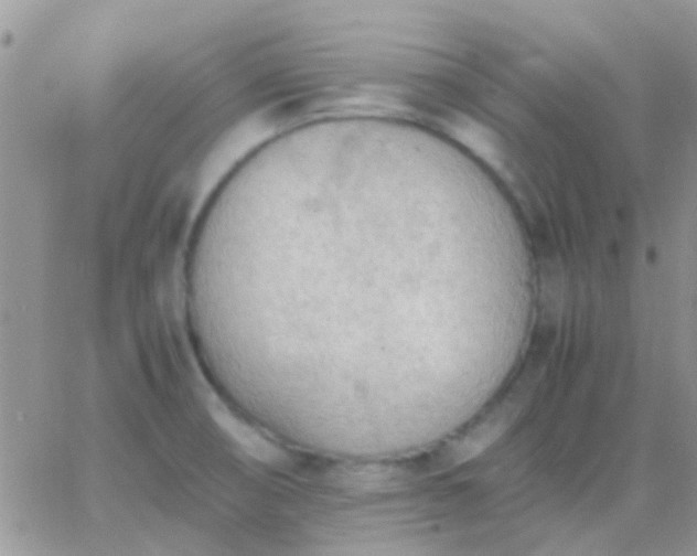 X0000065241474200602242012