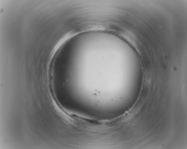 X0000065241475200602242012