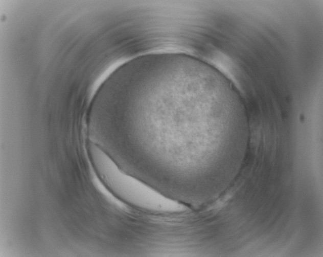 X0000065241476200602242012