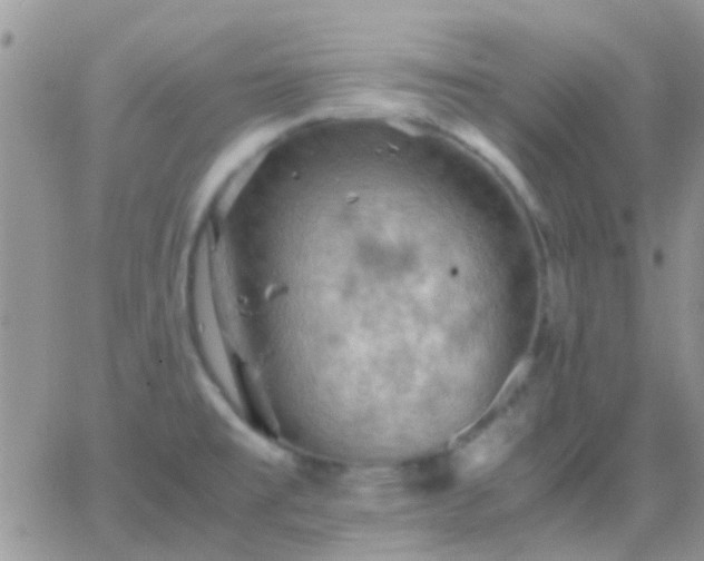 X0000065241477200602242012