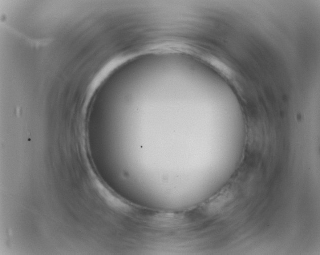 X0000065241478200602242012