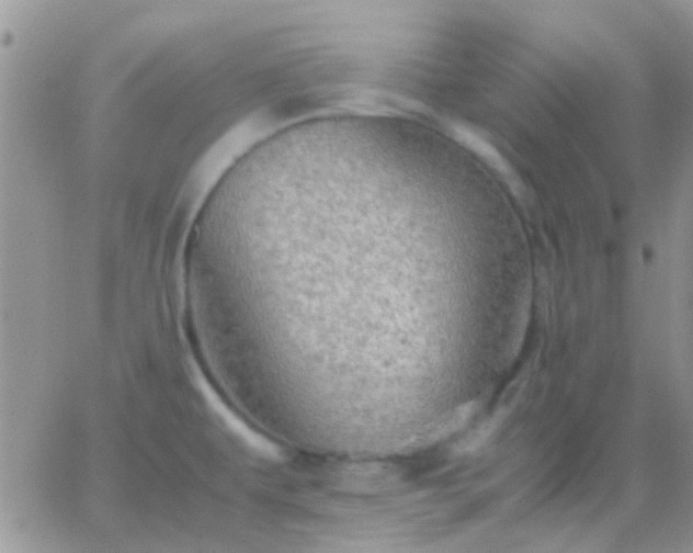 X0000065241479200602242012