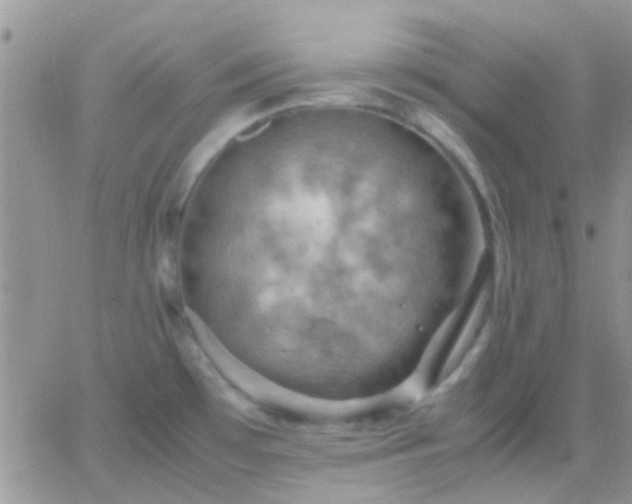 X0000065241481200602242012