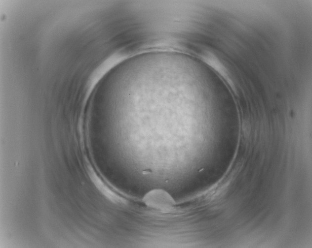 X0000065241482200602242012