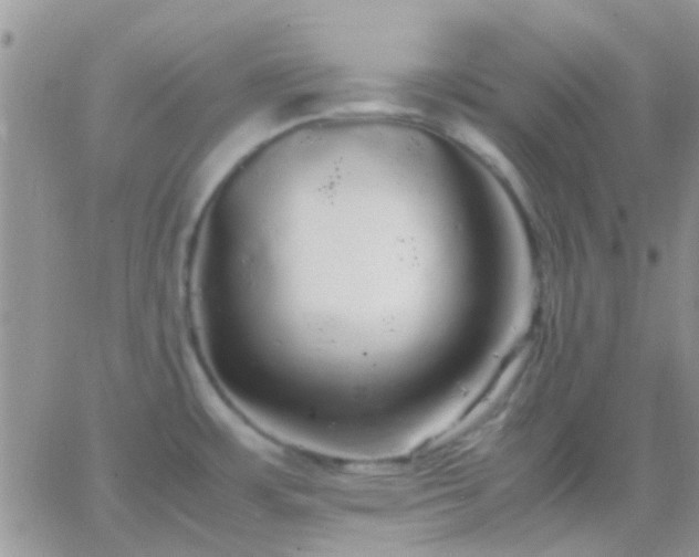 X0000065241483200602242012