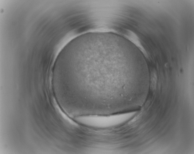 X0000065241484200602242012