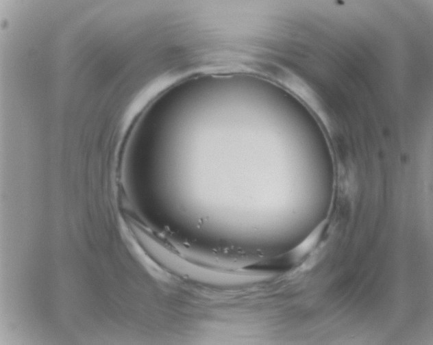 X0000065241485200602242012