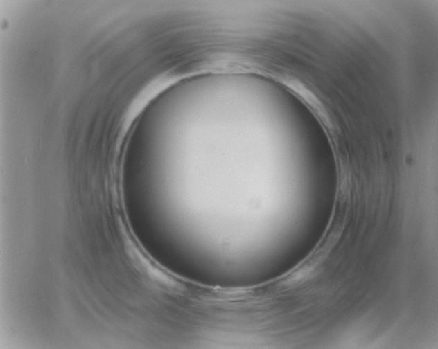 X0000065241486200602242012