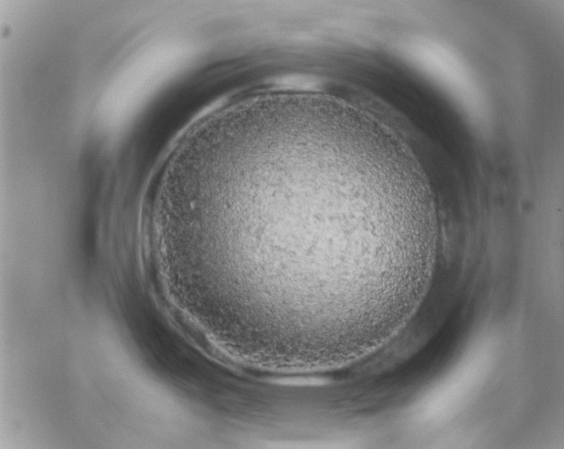 X0000065241487200602242012