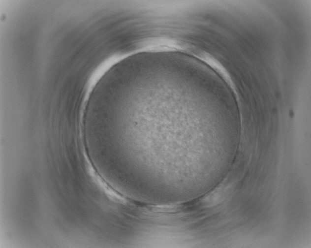 X0000065241488200602242012