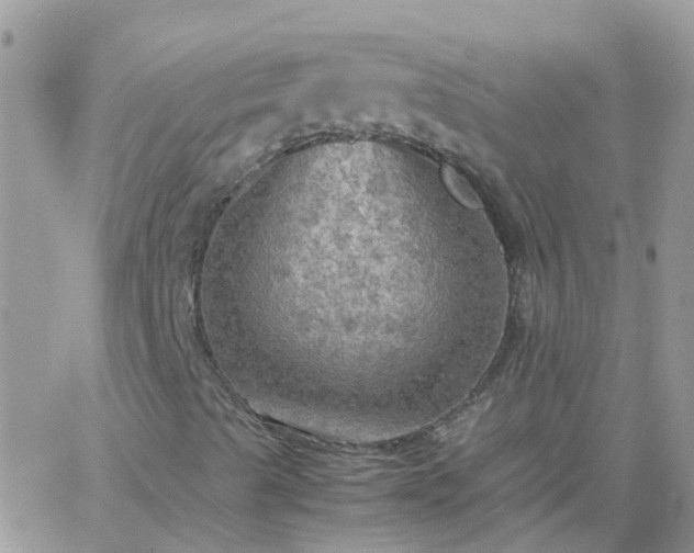 X0000065241489200602242011