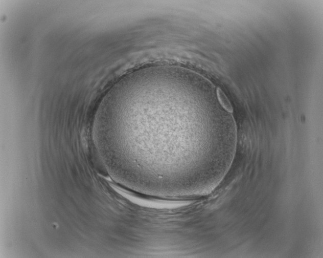 X0000065241490200602242011