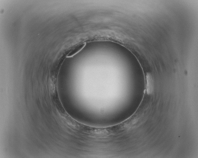 X0000065241491200602242011