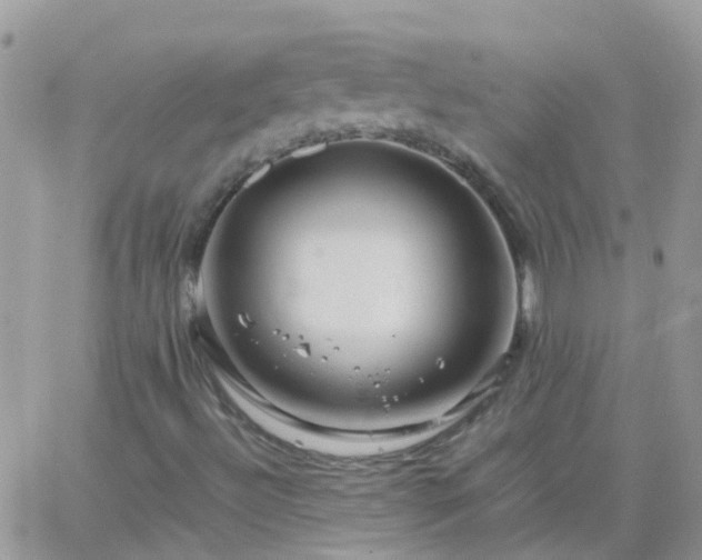 X0000065241492200602242011