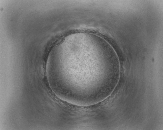 X0000065241493200602242011