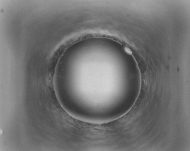 X0000065241495200602242011