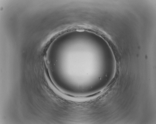 X0000065241496200602242011