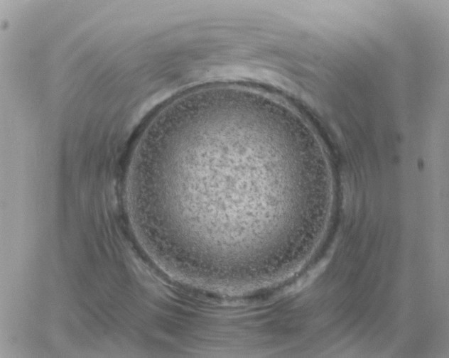 X0000065241497200602242011