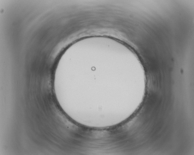 X0000065241498200602242011