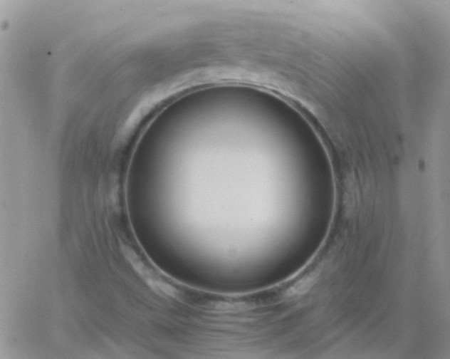 X0000065241499200602242011