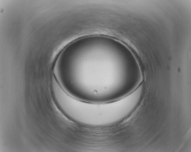 X0000065241500200602242011