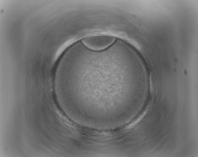 X0000065241501200602242011