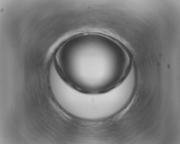 X0000065241502200602242011