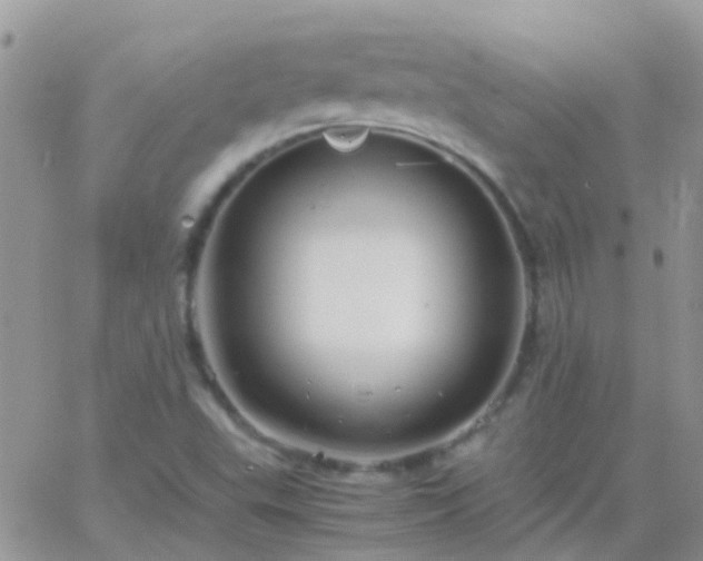 X0000065241503200602242011