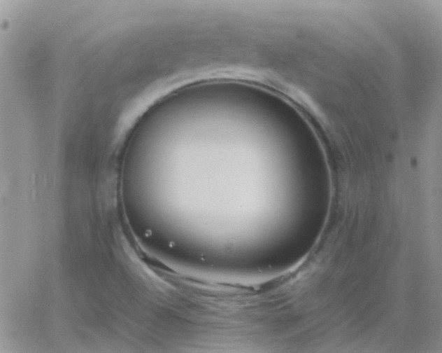 X0000065241504200602242011