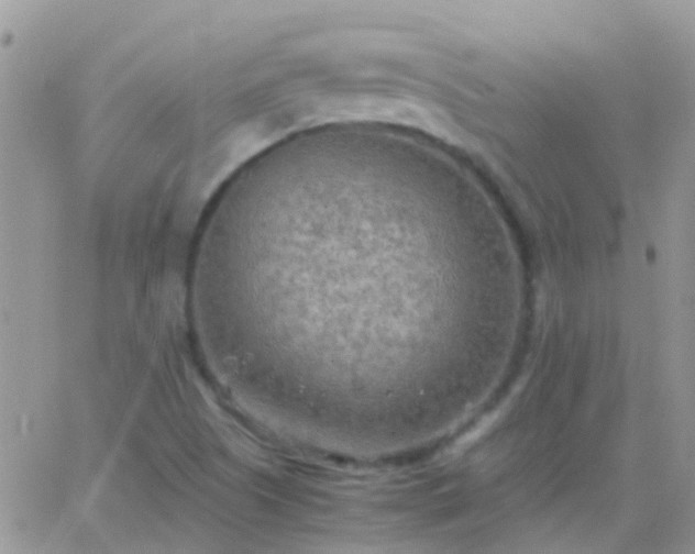 X0000065241505200602242011