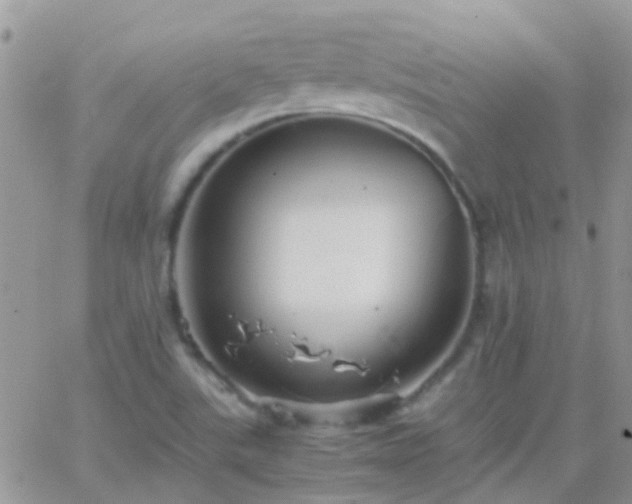 X0000065241507200602242011