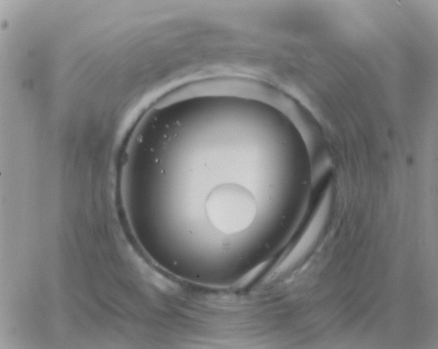 X0000065241508200602242011