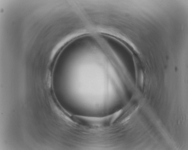 X0000065241510200602242011