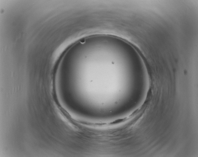 X0000065241511200602242011