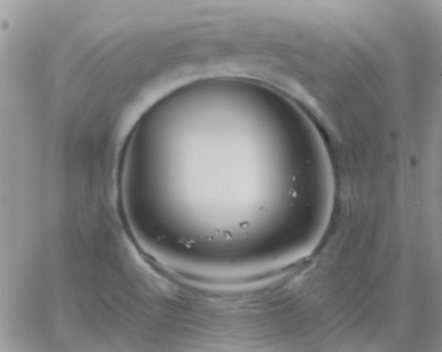 X0000065241512200602242011