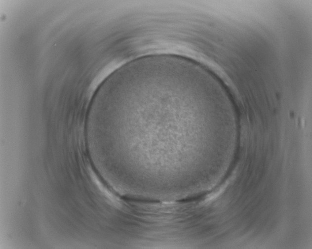 X0000065241513200602242011