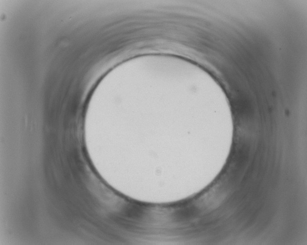 X0000065241514200602242012