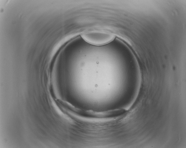 X0000065241515200602242012