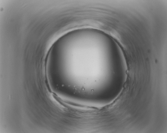 X0000065241516200602242012