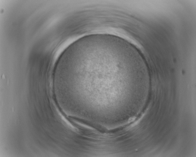 X0000065241517200602242012