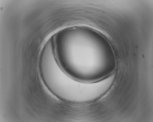 X0000065241518200602242012