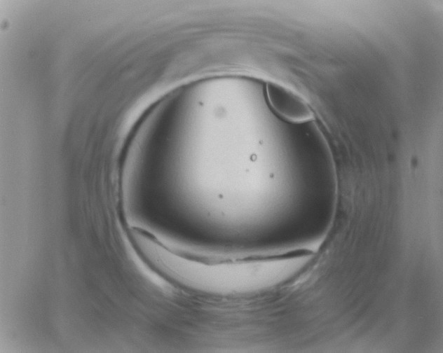 X0000065241519200602242012