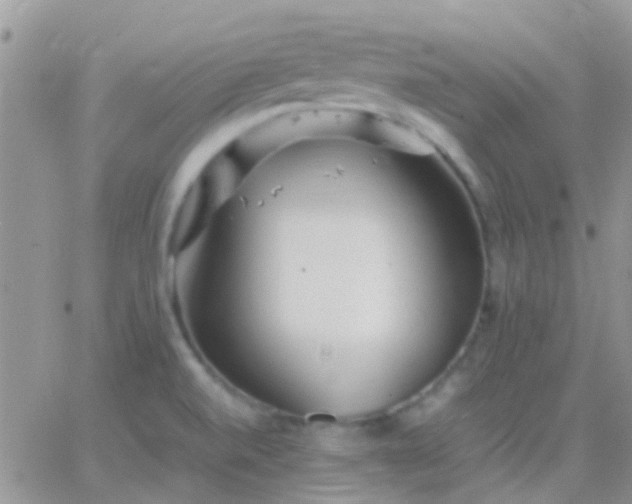 X0000065241520200602242012