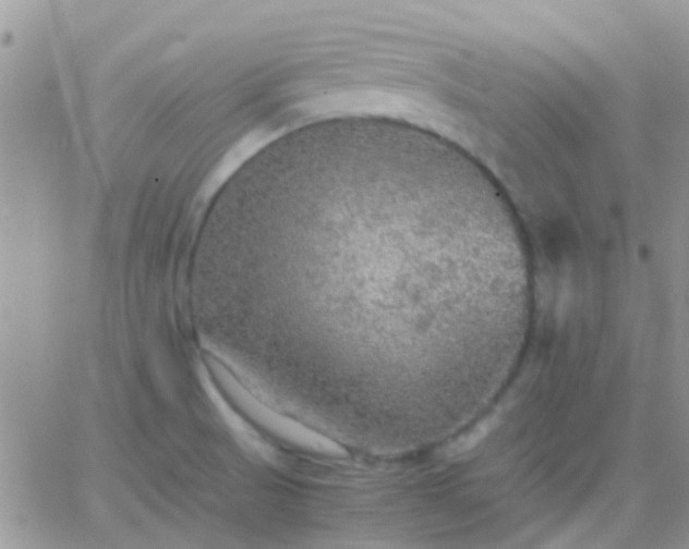 X0000065241521200602242012