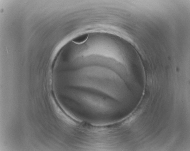 X0000065241522200602242012