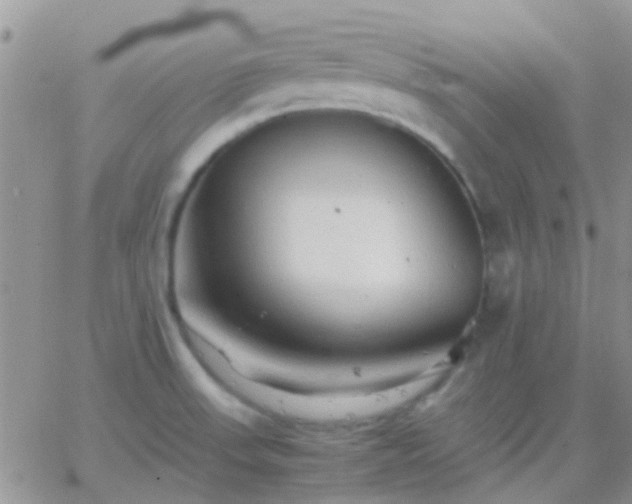 X0000065241523200602242012