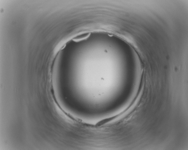 X0000065241524200602242012