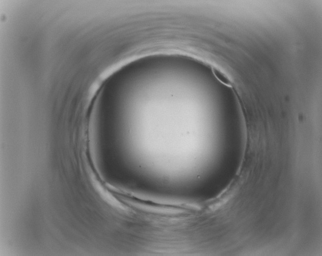 X0000065241526200602242012