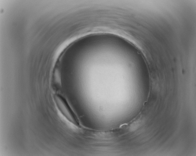 X0000065241527200602242012